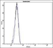 db-1018-fc-a-lymphocytes