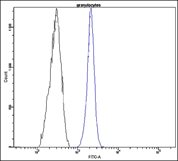 db-1018-fc-b-granulocytes